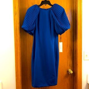 Calvin Klein dress, size 6, cobalt blue/royal blue. NWT.